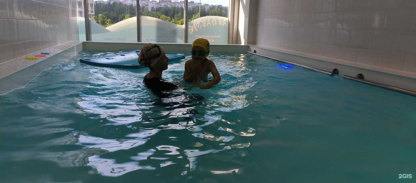 Отзывы на компанию Китенок Минке в г. Нижний Новгород c фото