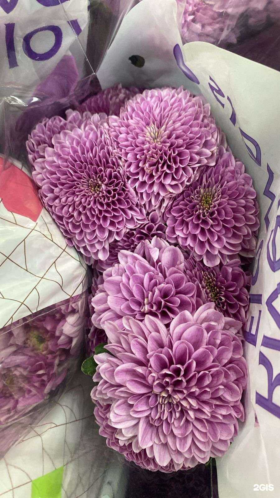 Отзывы на компанию Галактика цветов в г. Астрахань c фото