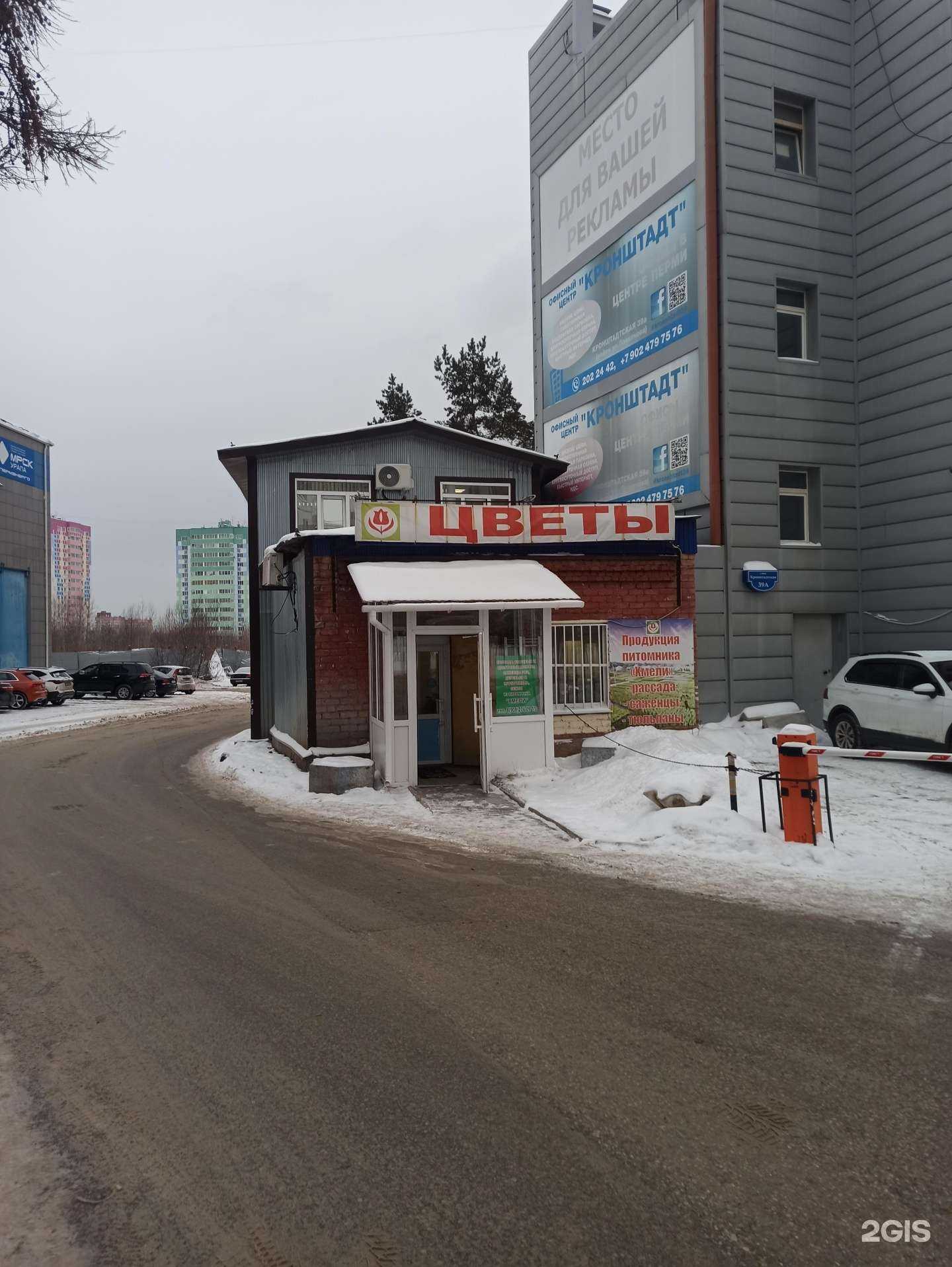 Отзывы на компанию Цветы Прикамья в г. Пермь c фото