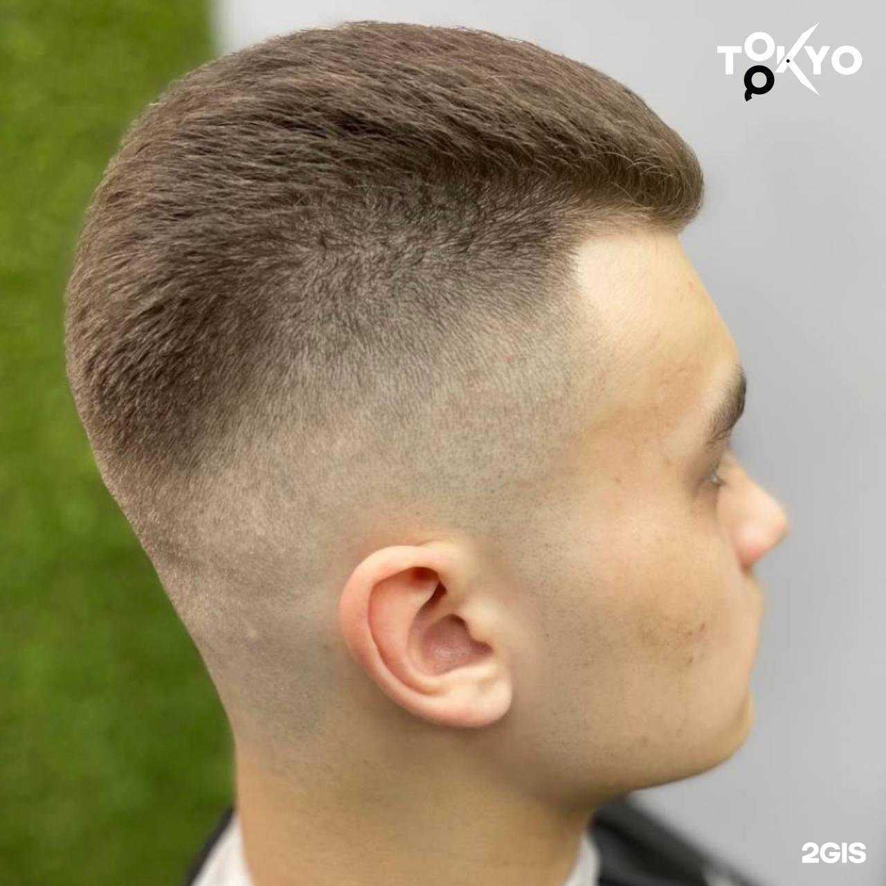 Отзывы на компанию Токио в г. Королёв c фото