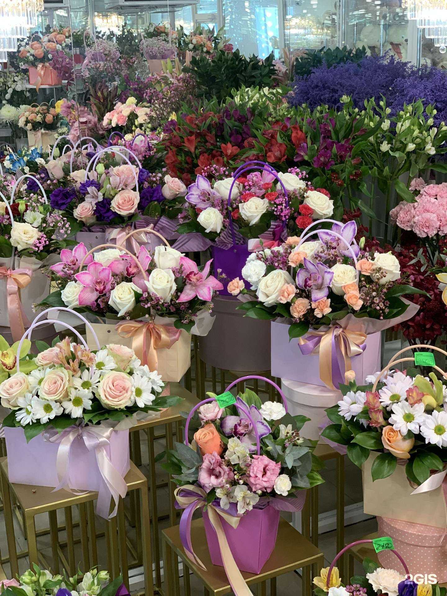 Отзывы на компанию Цветочный дворик 63 в Самаре c фото