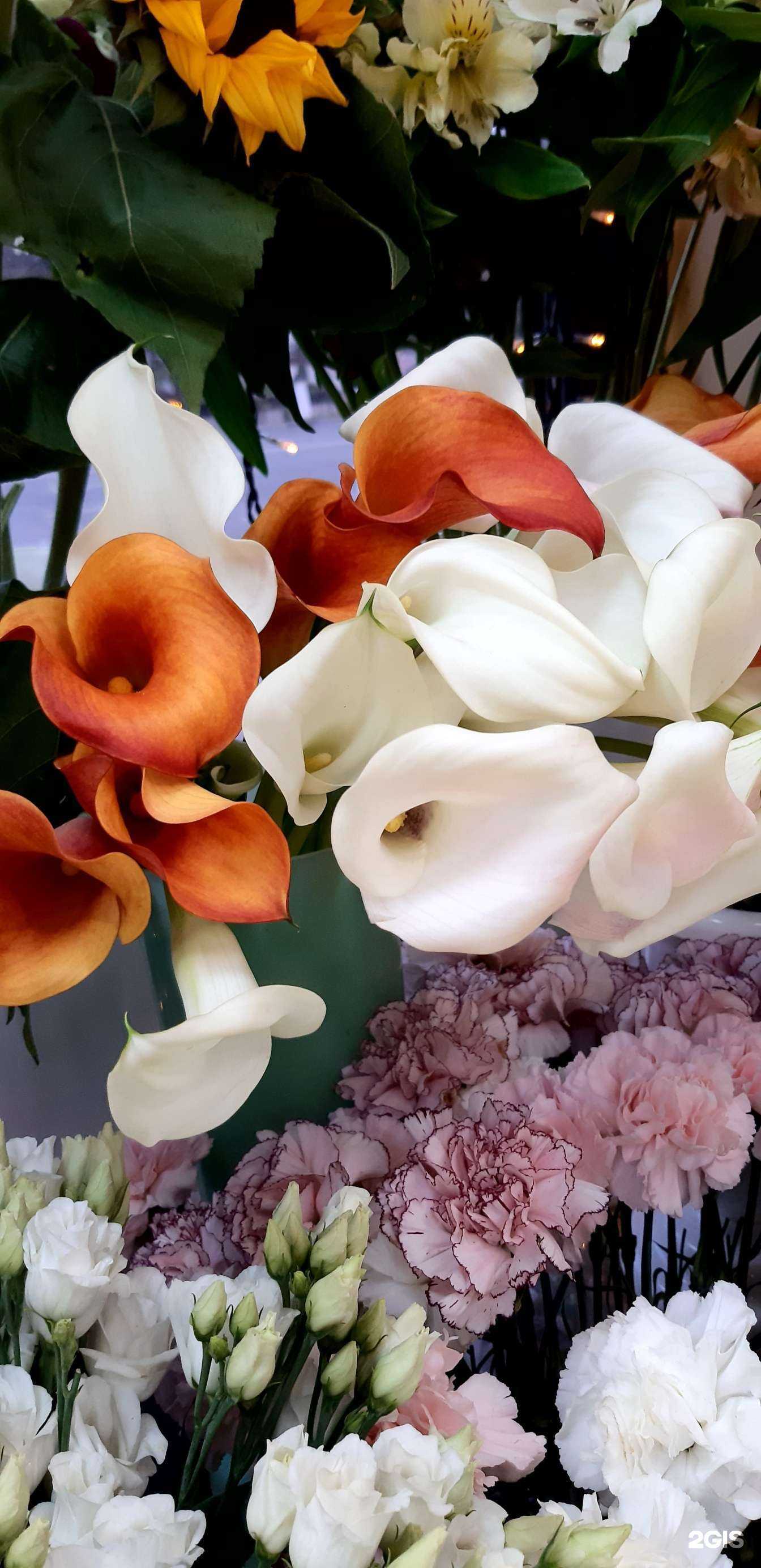 Отзывы на компанию Марта в Туле c фото