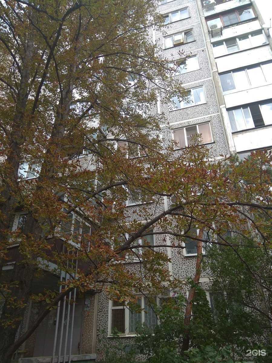 Отзывы на компанию Летра-Буква в Краснодаре c фото - фотография 2 из 2