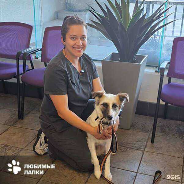 Отзывы на компанию Любимые лапки в Реутове c фото