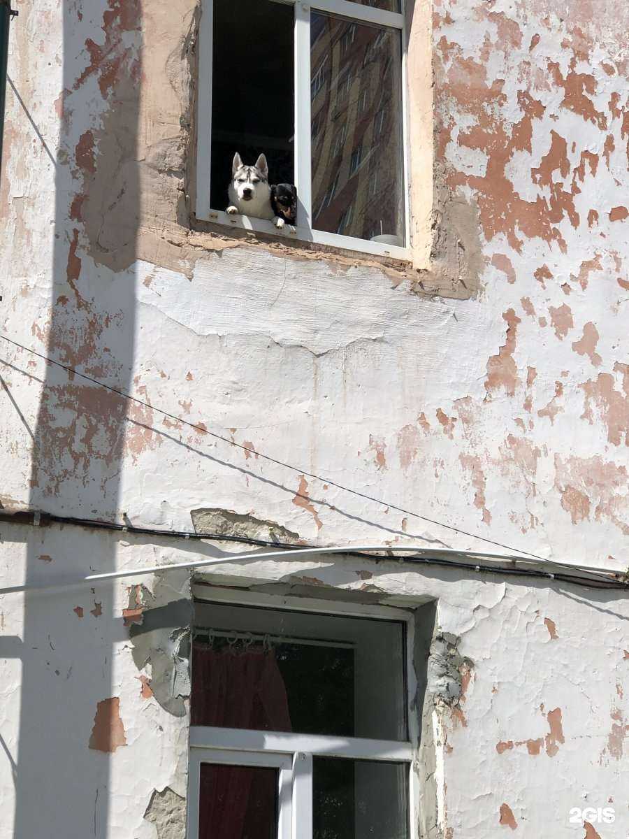 Отзывы на компанию Limon в г. Тюмень c фото