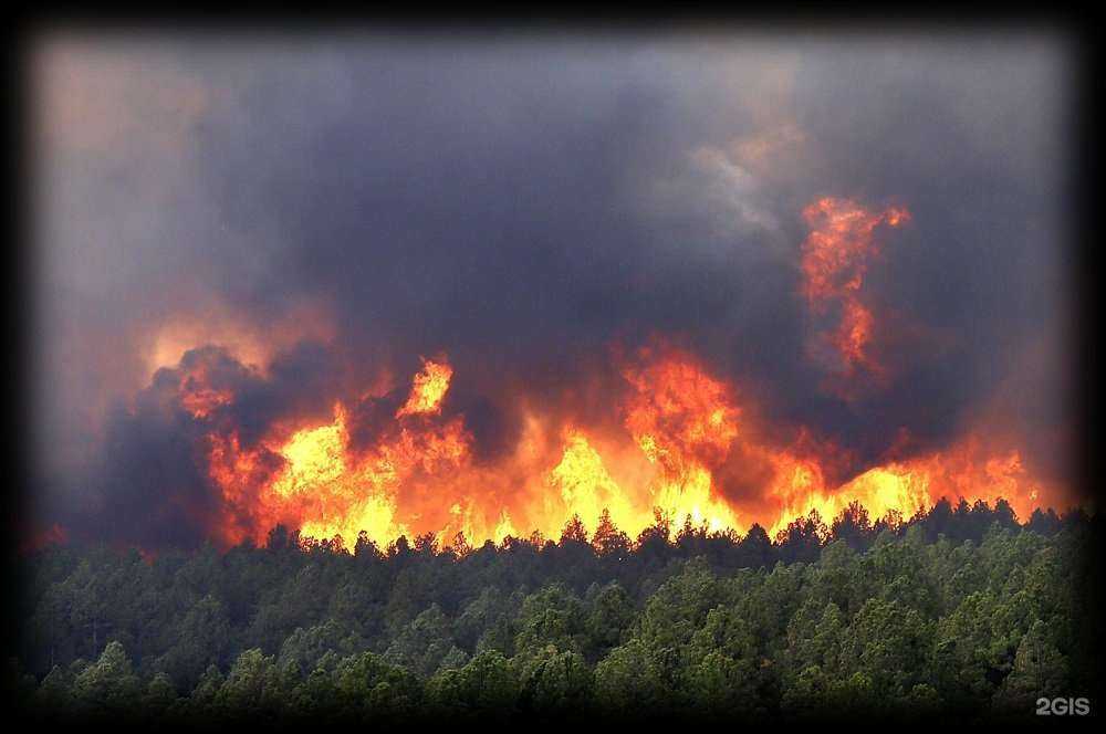 Отзывы на компанию СтройЭнергоМонтажСервис в г. Саратов c фото