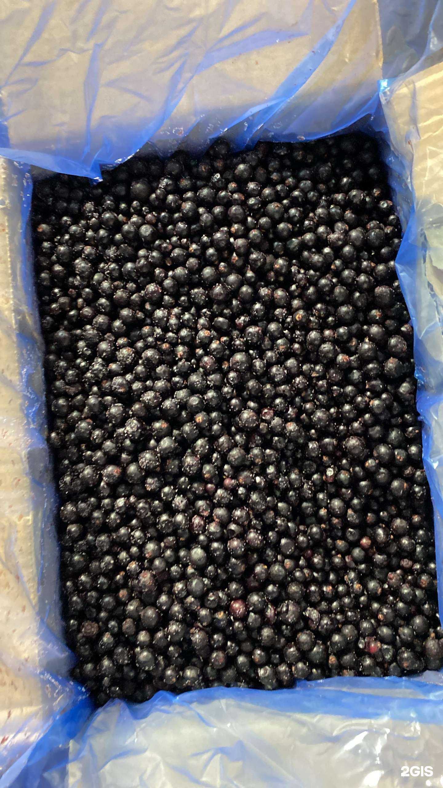 Отзывы на компанию Замороз в Сочи c фото