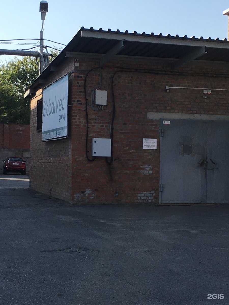 Отзывы на компанию Глобал-вет в г. Ростов-на-Дону c фото