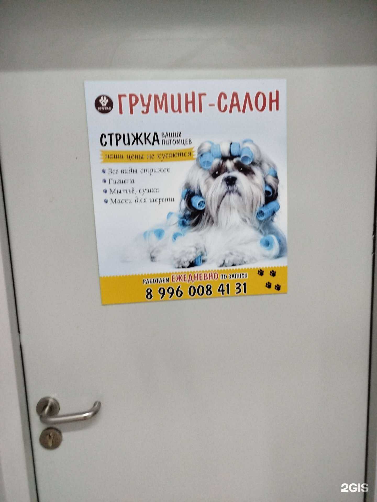 Отзывы на компанию Груминг-салон в г. Арзамас c фото