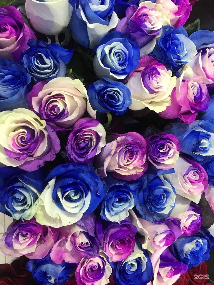 Отзывы на компанию Цветочный салон в Коммунарке c фото
