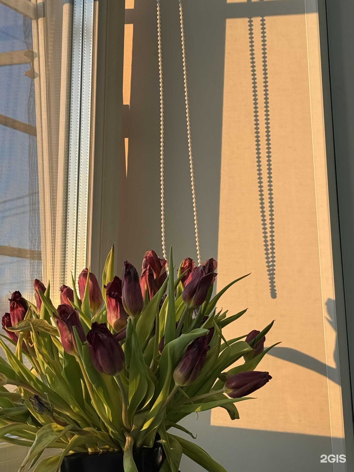 Отзывы на компанию Ni.nails в Хабаровске c фото