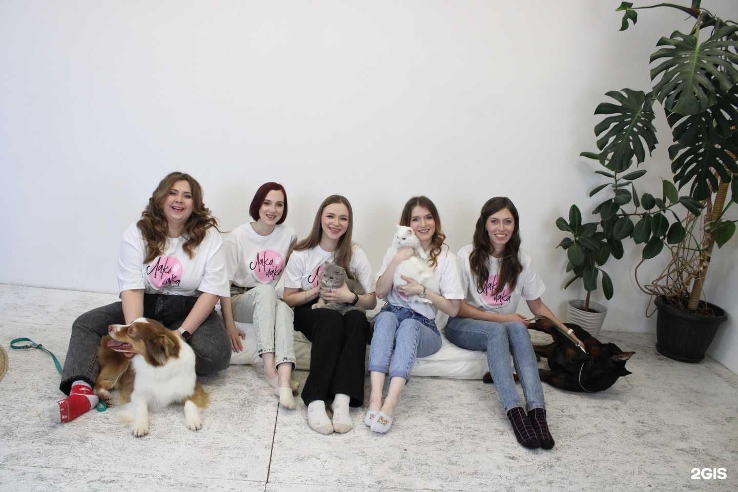 Отзывы на компанию Лака-Лака в Барнауле c фото