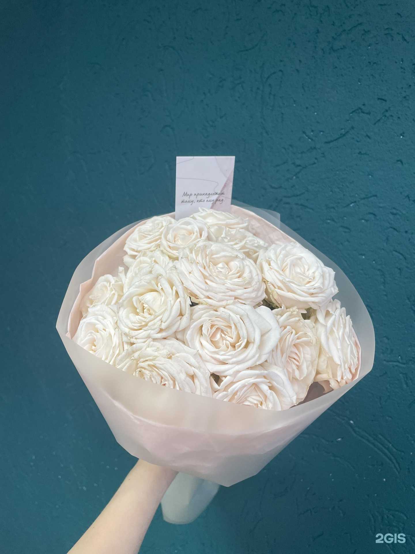 Отзывы на компанию Вместо слов в г. Бердск c фото