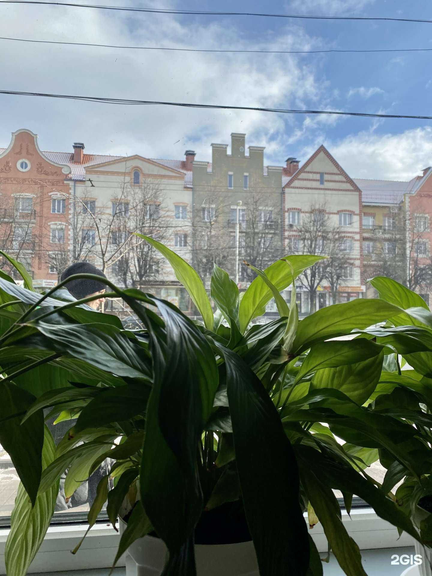 Отзывы на компанию Столовка в Калининграде c фото