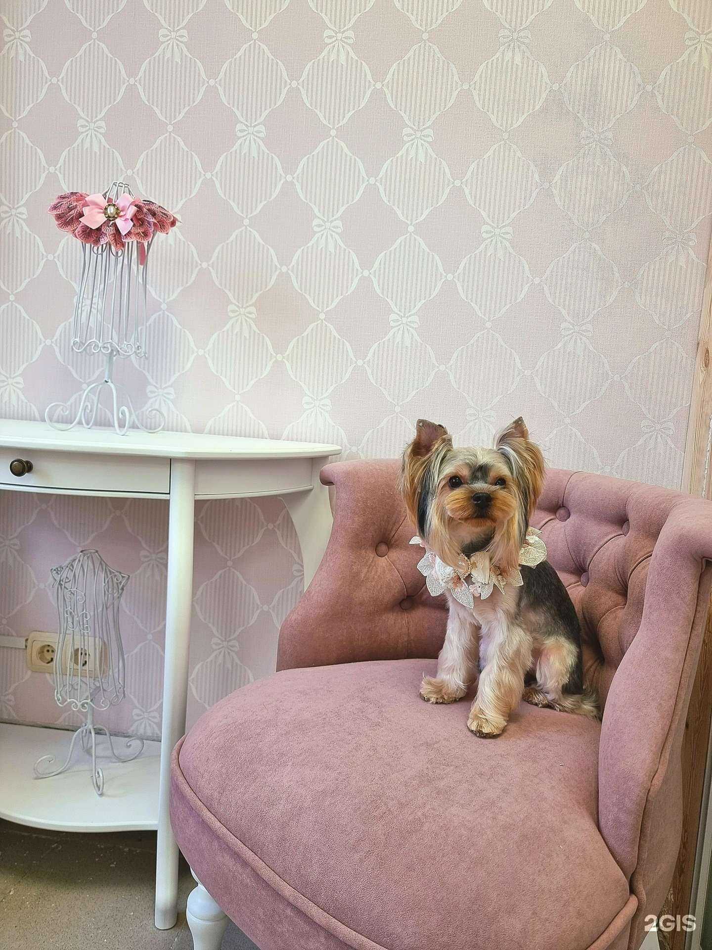 Отзывы на компанию Сибатрик в Нижнем Новгороде c фото