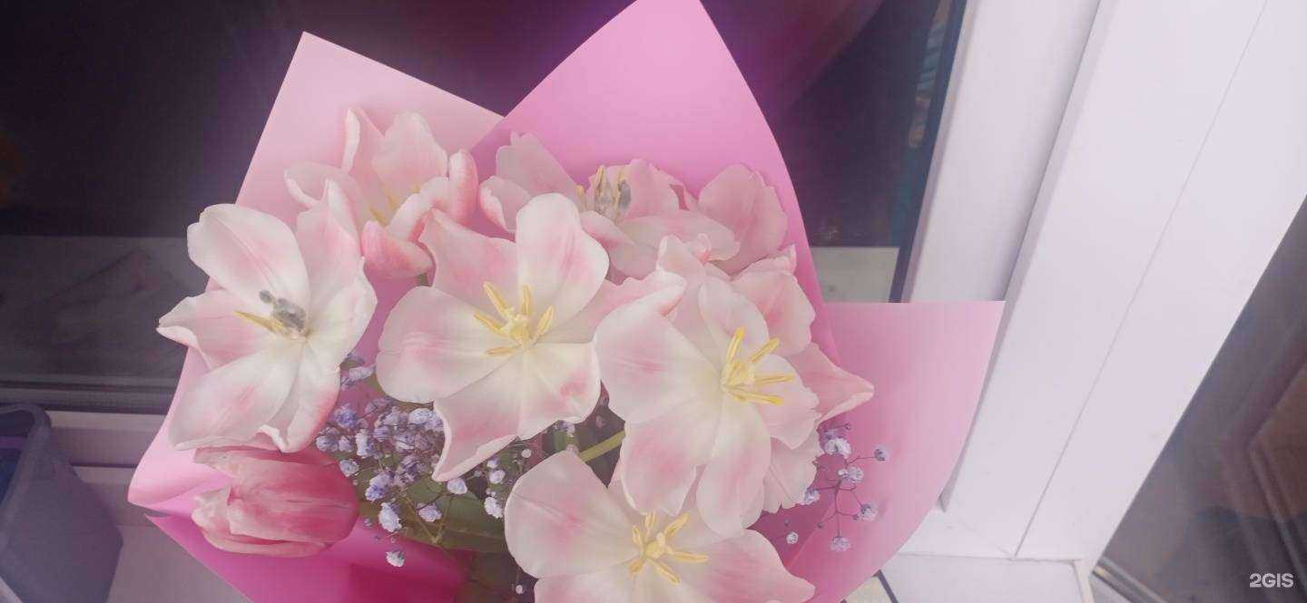 Отзывы на компанию Фелиция в Находке c фото