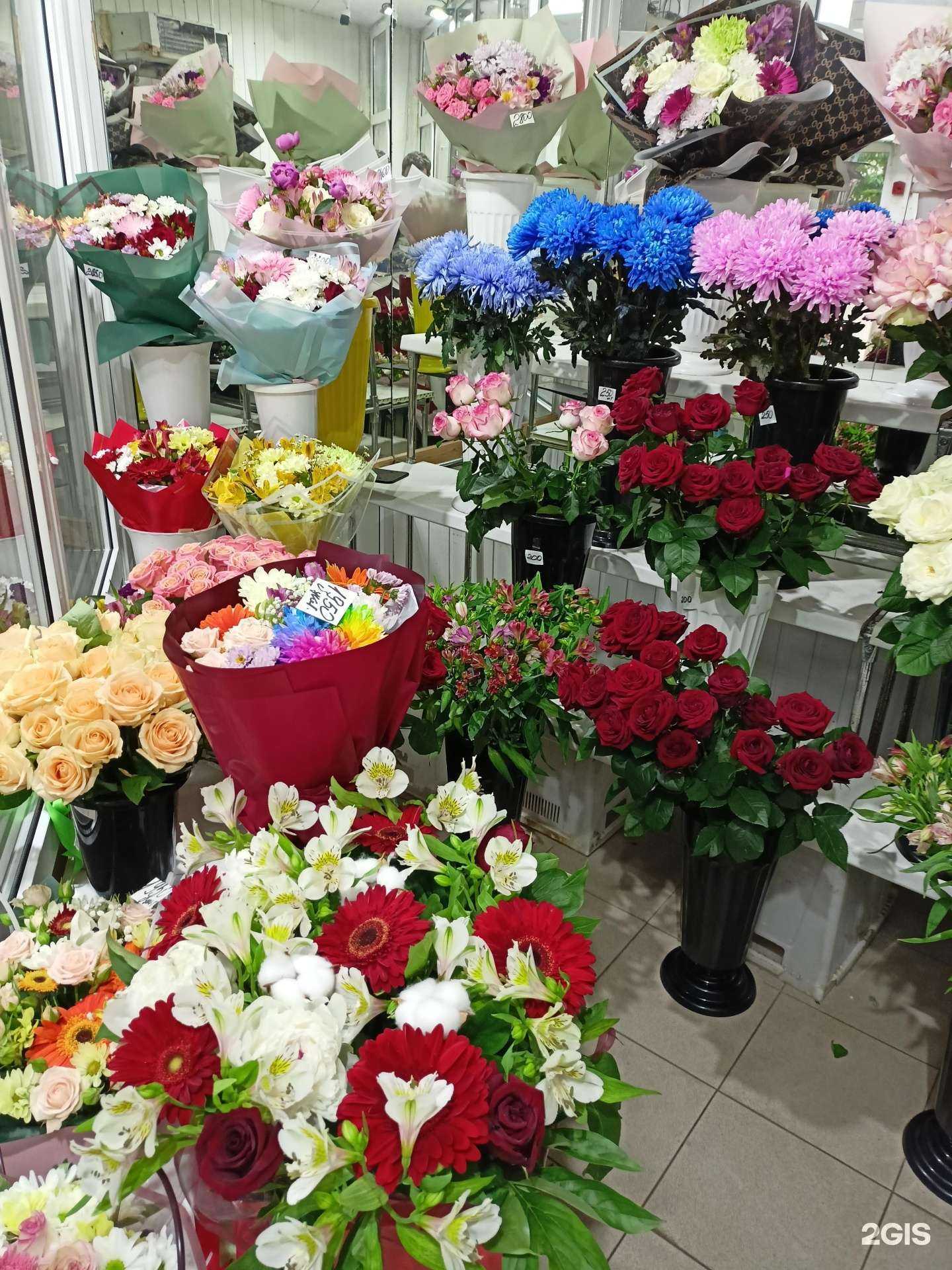 Отзывы на компанию Маргаритка в Жуковском c фото