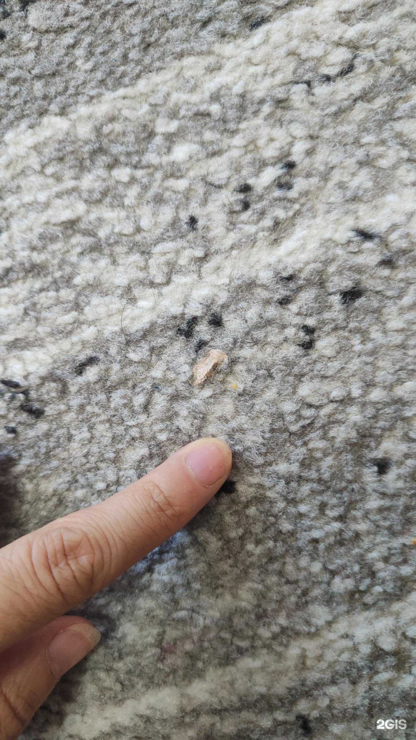 Отзывы на компанию Клинвордс в Нижневартовске c фото