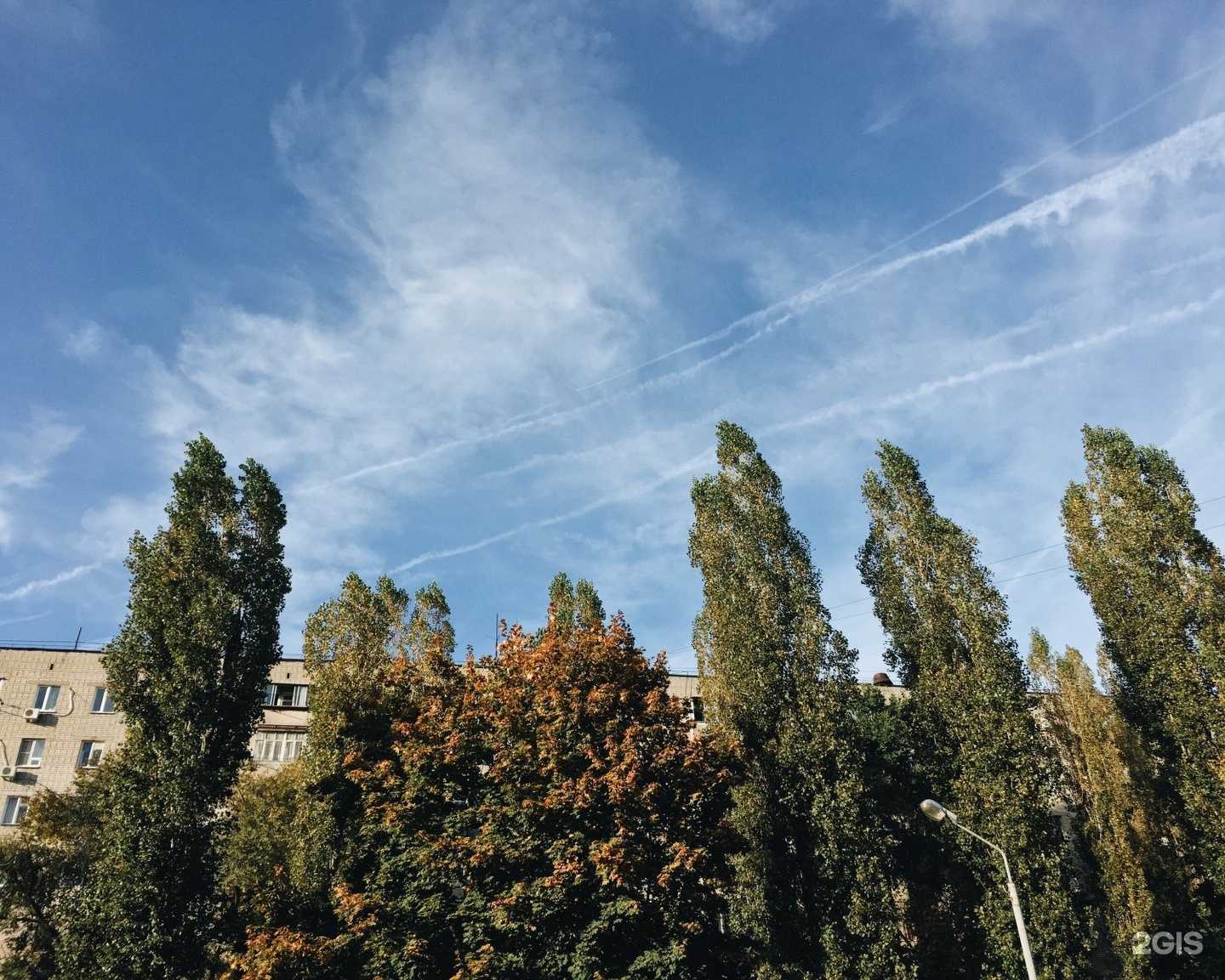 Отзывы на компанию Малибу в Воронеже c фото - фотография 2 из 2