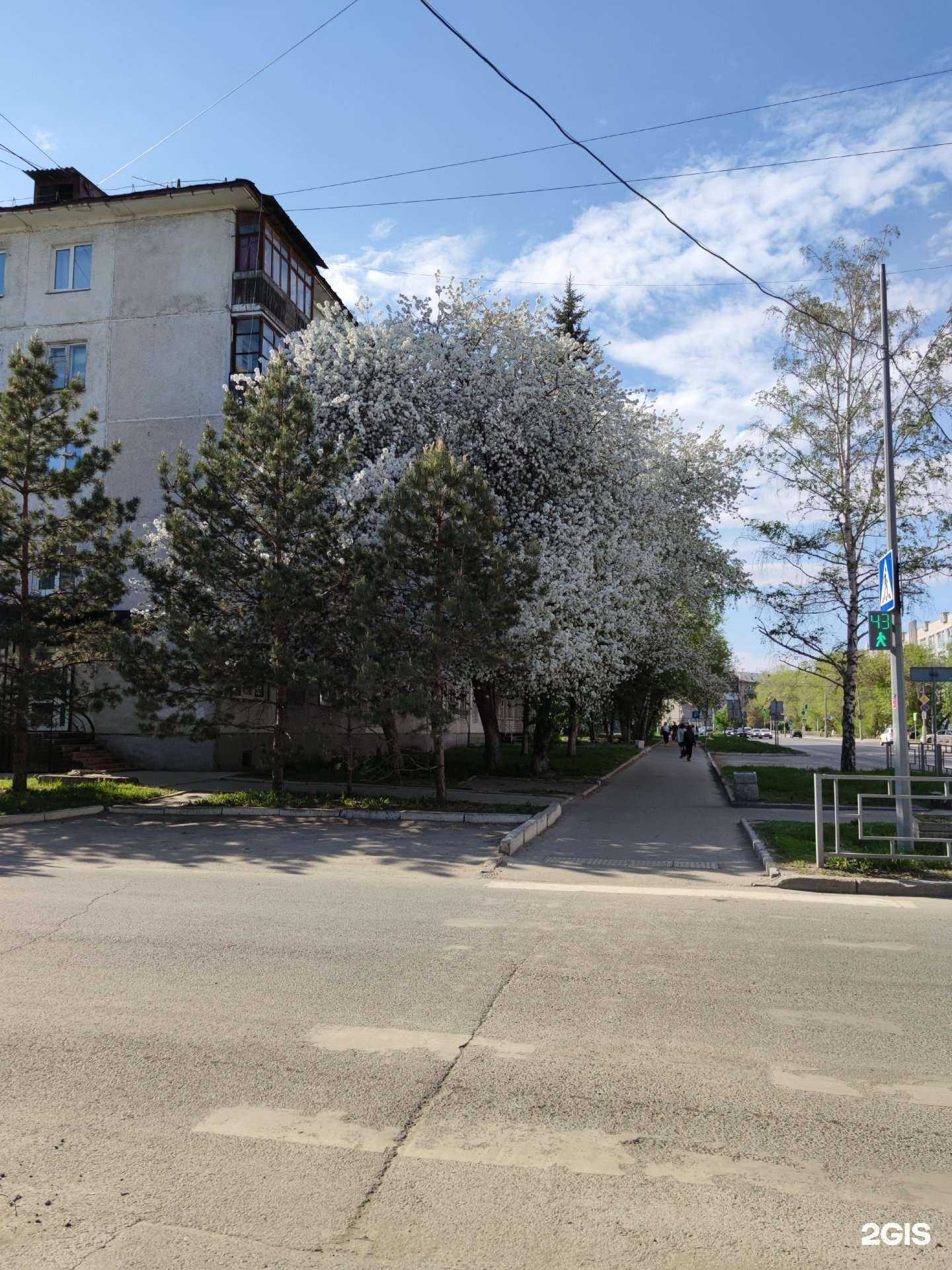 Отзывы на компанию Лавка цветов в Барнауле c фото - фотография 2 из 2