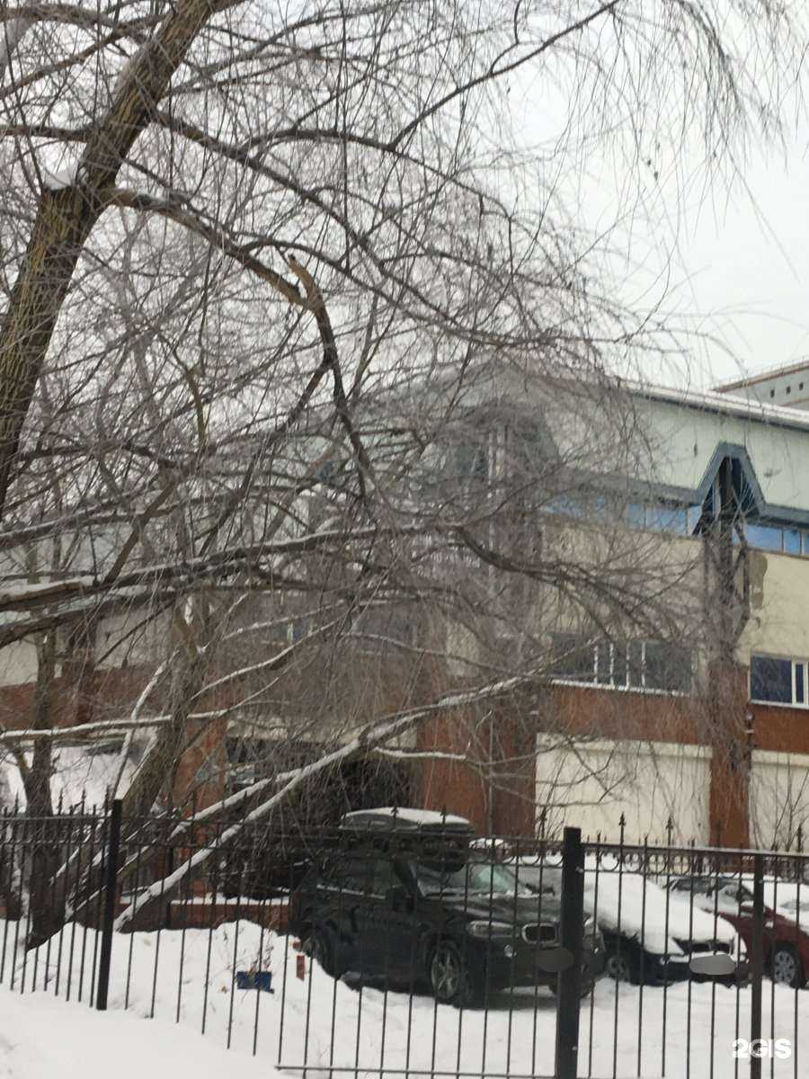 Отзывы на компанию Активити в г. Омск c фото