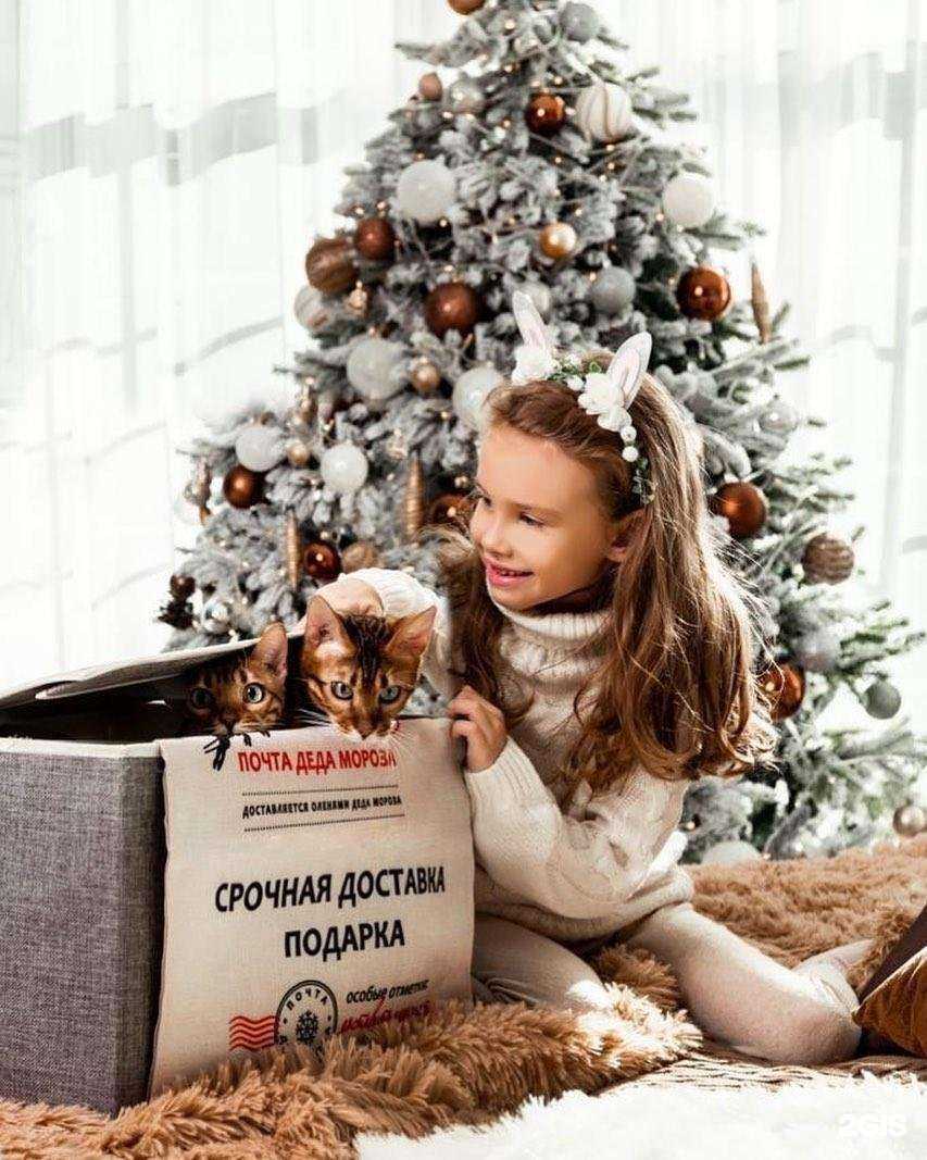 Отзывы на компанию БизнесДиалог в Владивостоке c фото