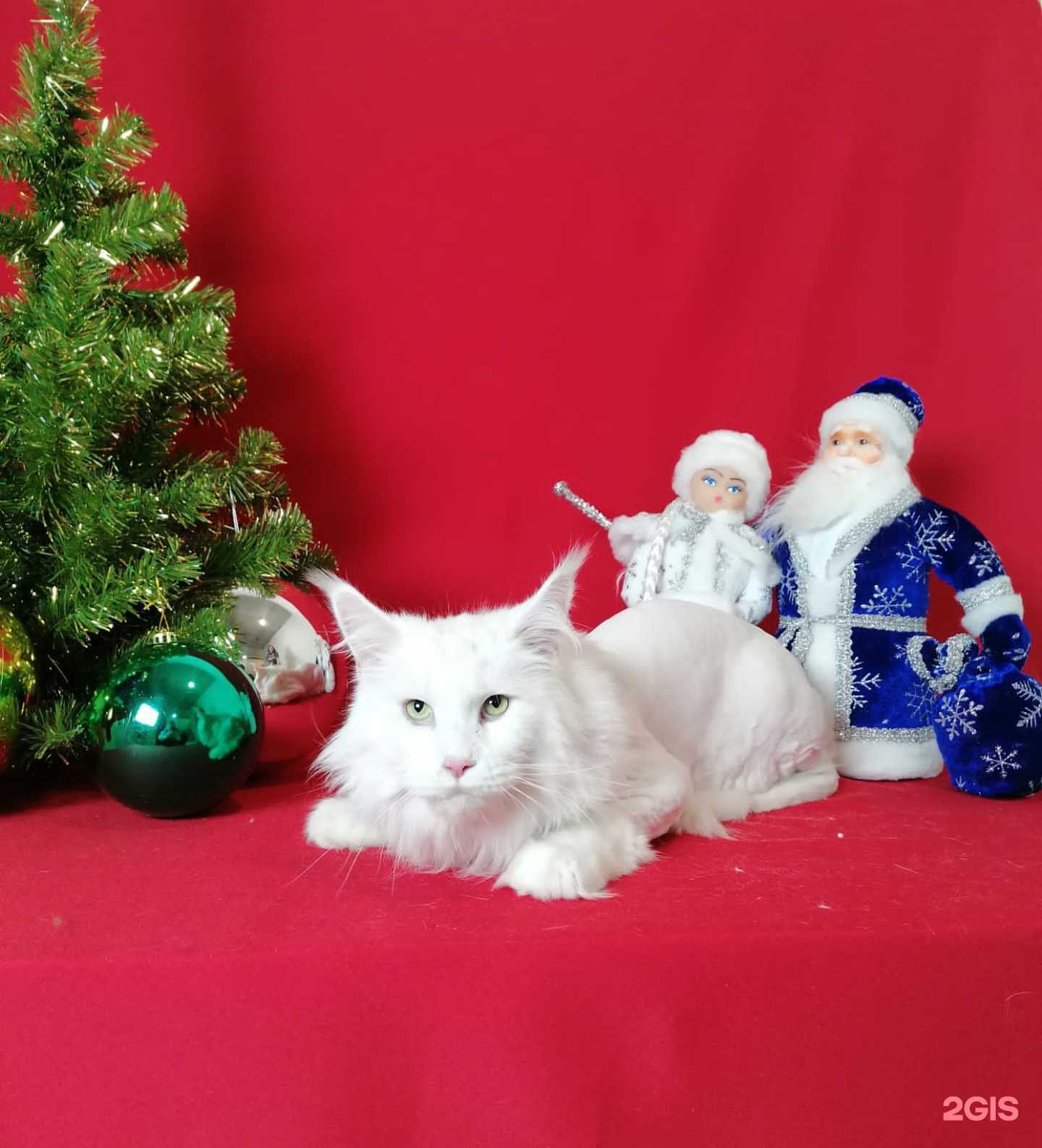 Отзывы на компанию Тандем в Кургане c фото