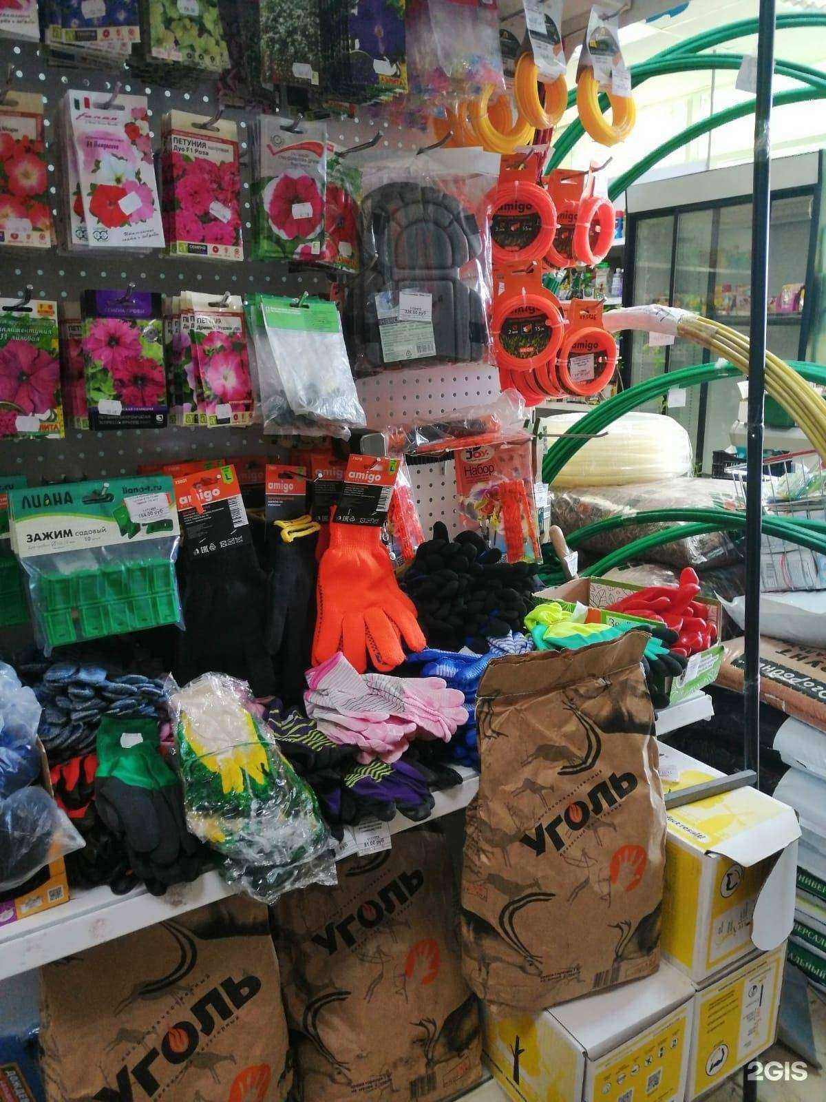 Отзывы на компанию Дачник и Рекс в Костроме c фото