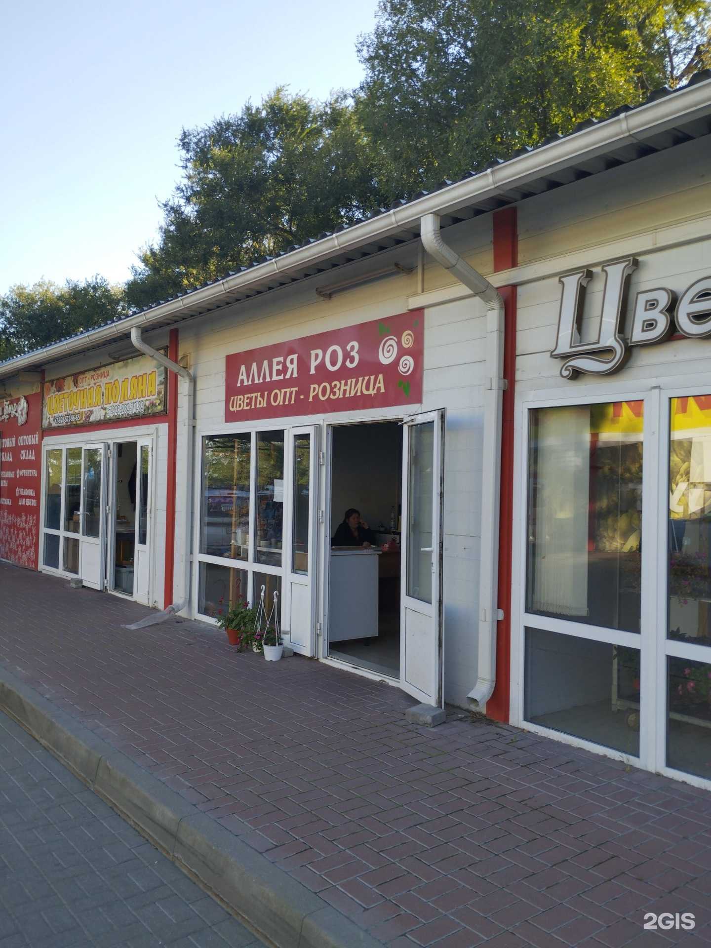 Отзывы на компанию Аллея Роз в г. Ростов-на-Дону c фото