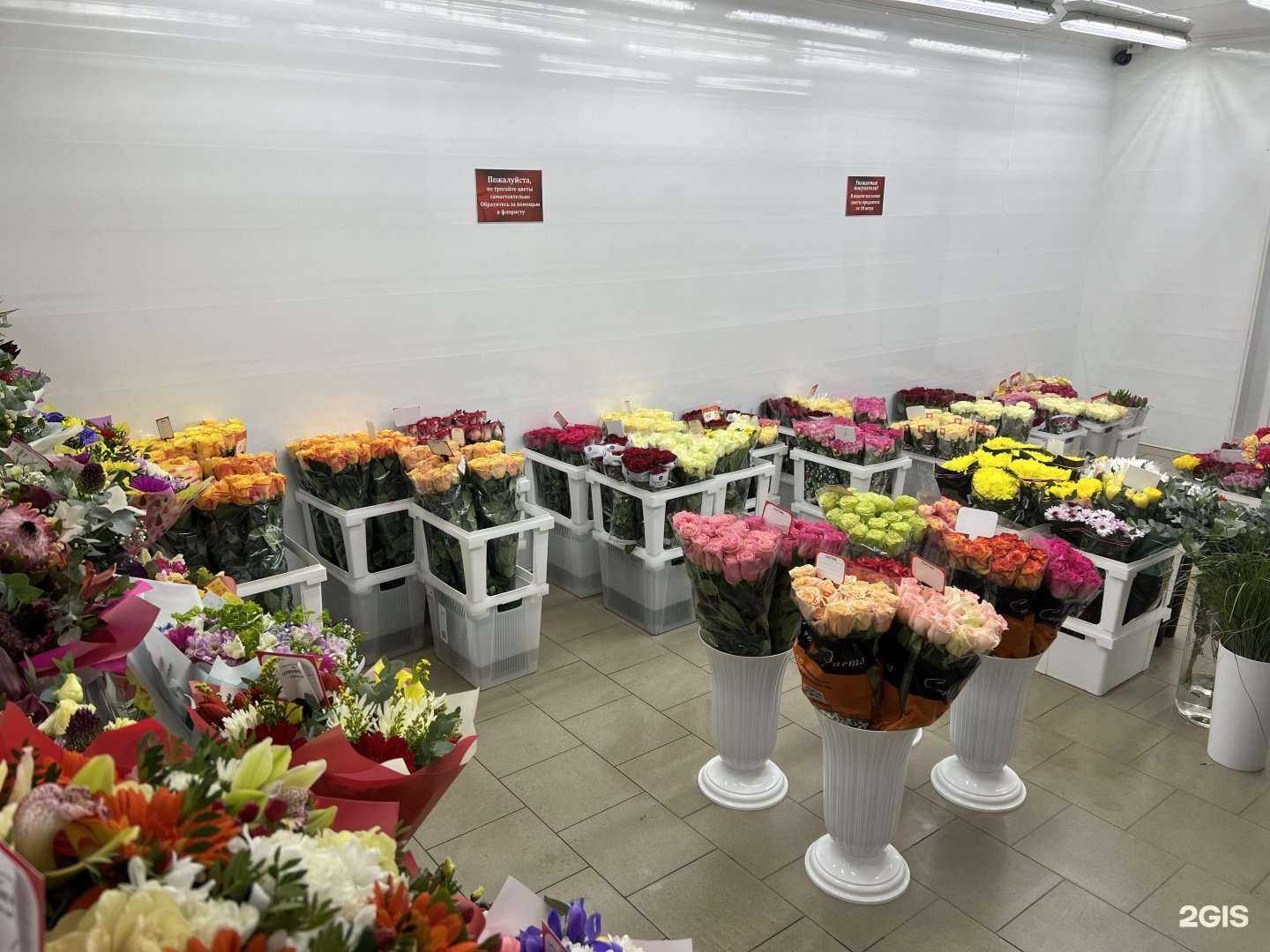 Отзывы на компанию Городская база цветов в г. Ивантеевка c фото