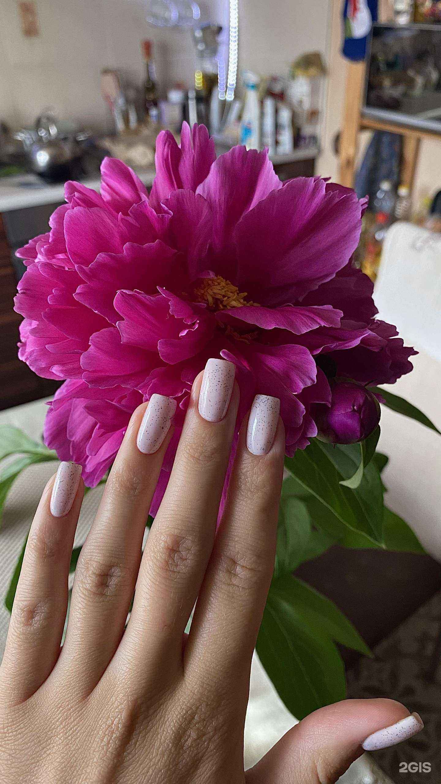 Отзывы на компанию Twenty Nails в Новосибирске c фото