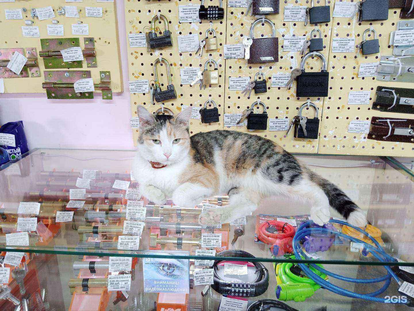 Отзывы на компанию СтройВекДом в Кемерове c фото