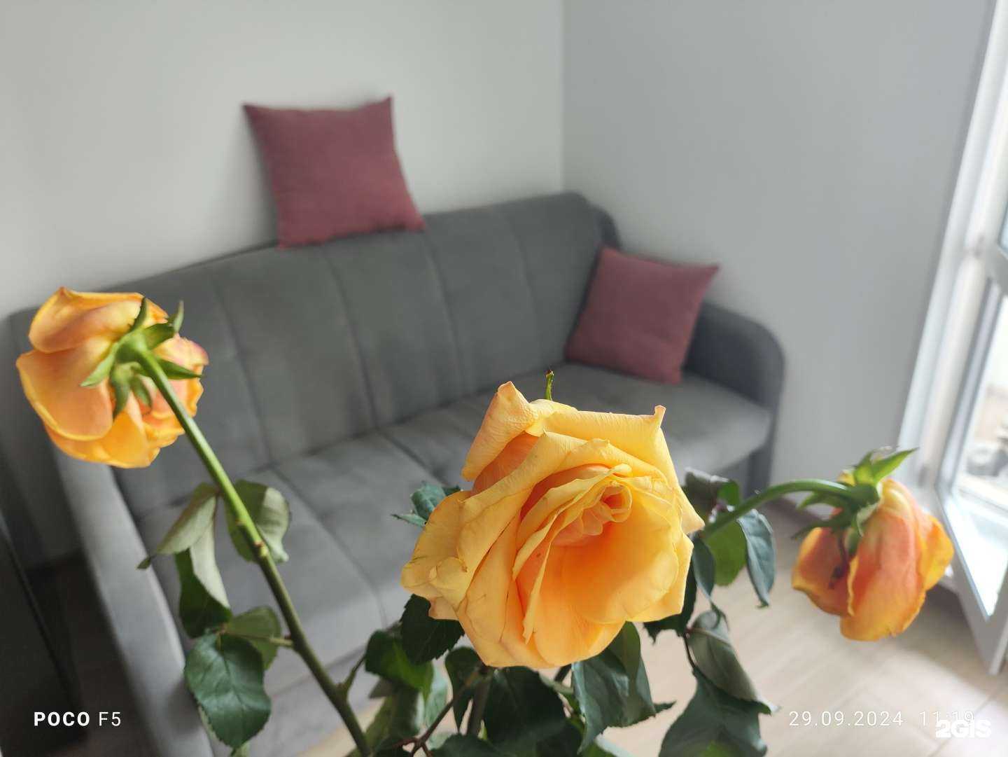 Отзывы на компанию База Цветов 24.ру в Нижнем Новгороде c фото