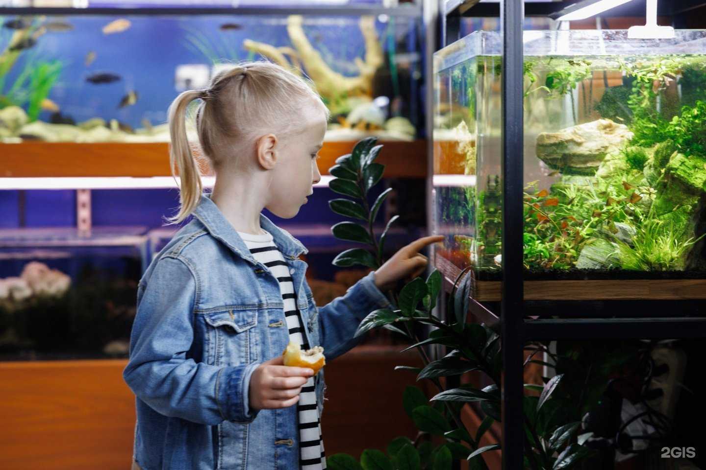 Отзывы на компанию Аквацентр в г. Ставрополь c фото