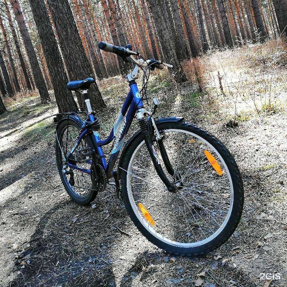 Отзывы на компанию Sport upgrade в Красноярске c фото