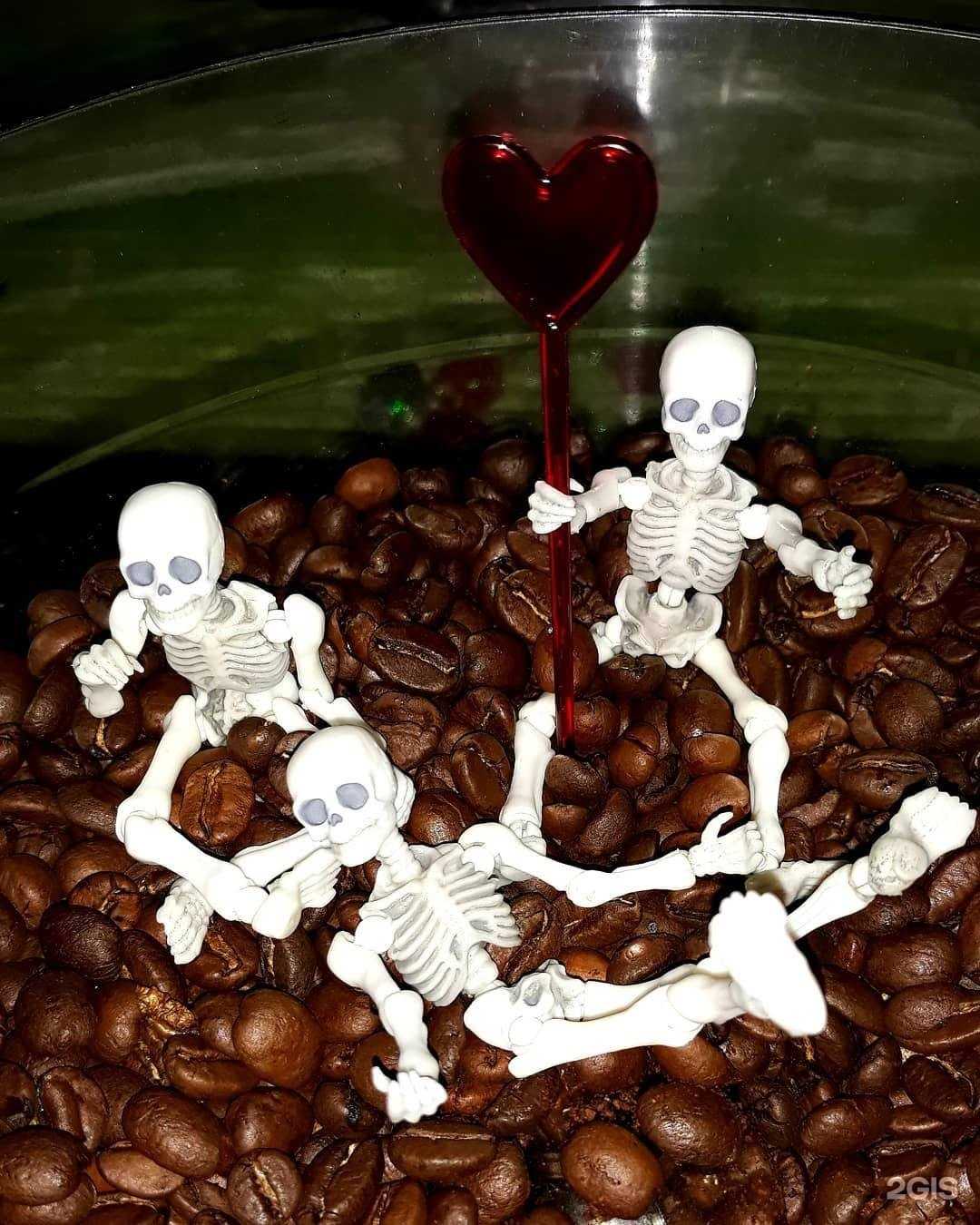 Отзывы на компанию King pin в г. Вилючинск c фото