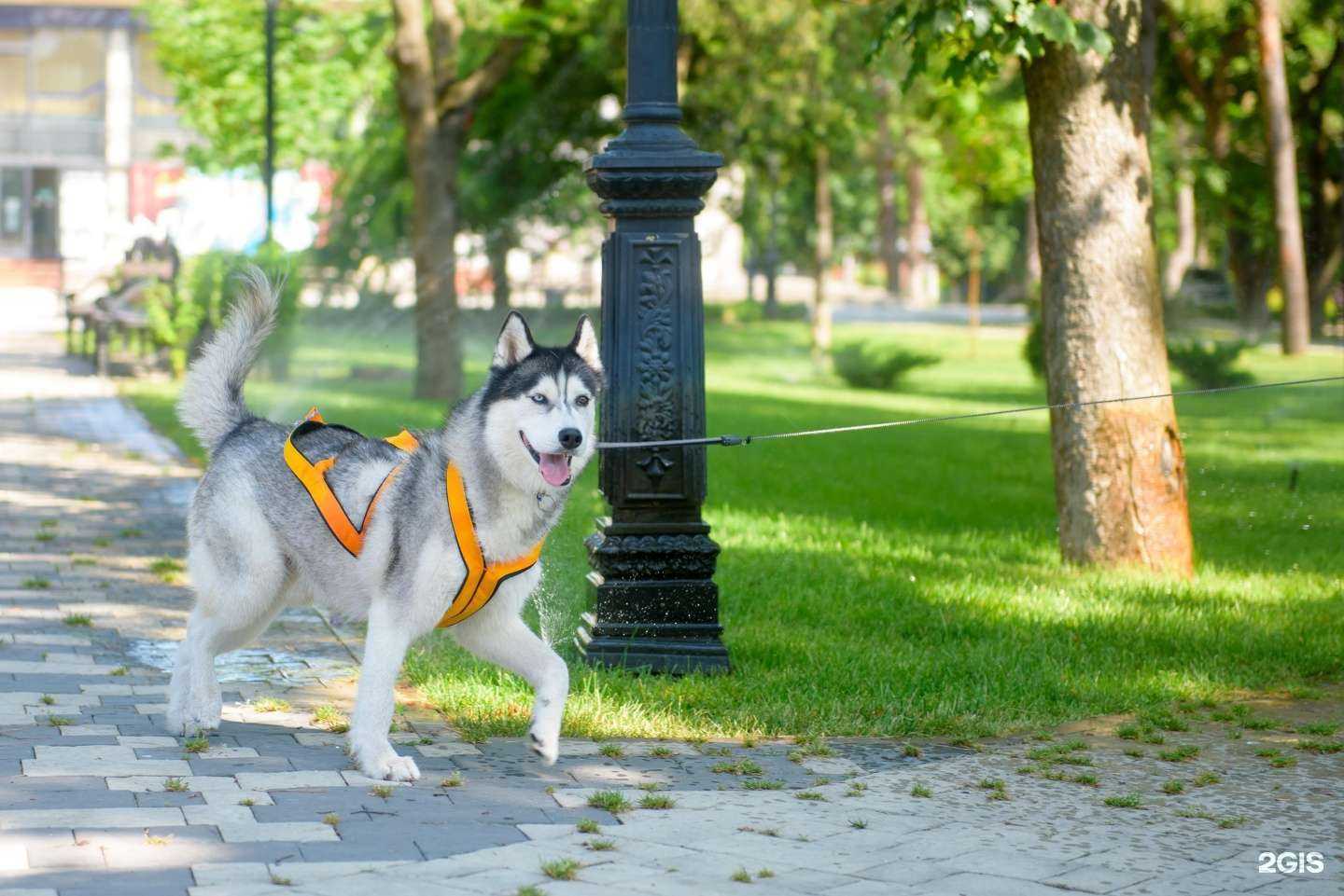 Отзывы на компанию 1 Студия Полива в Сочи c фото