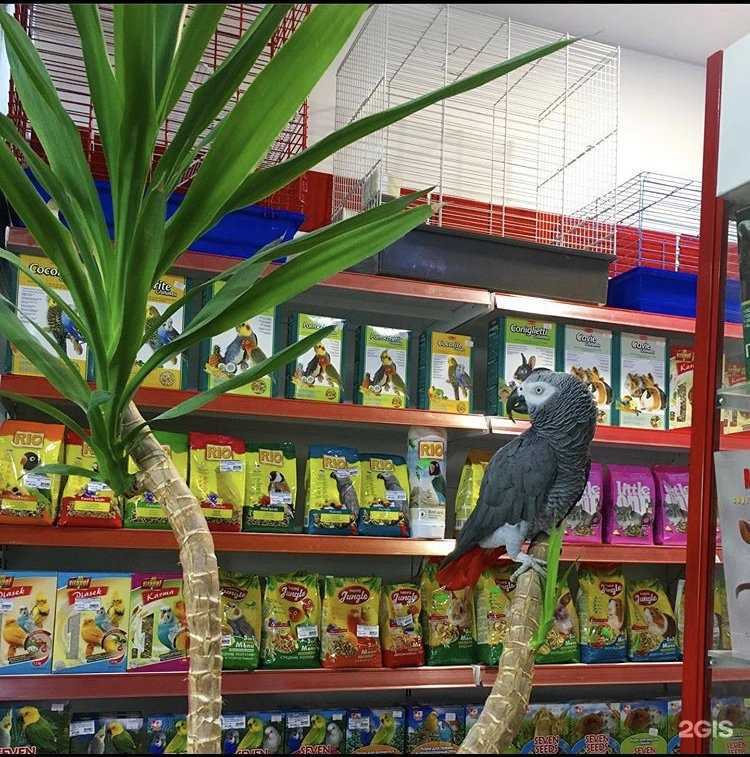 Отзывы на компанию Бетховен в г. Курск c фото