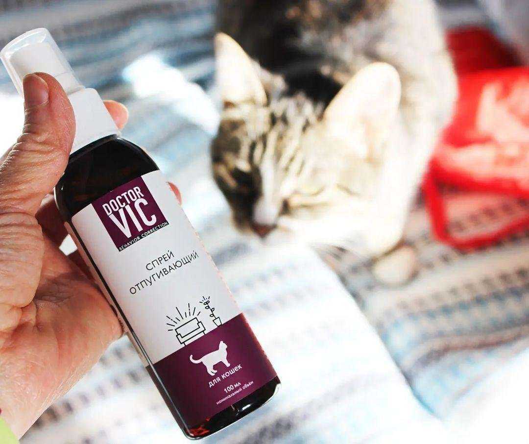 Отзывы на компанию Вик в Новосибирске c фото