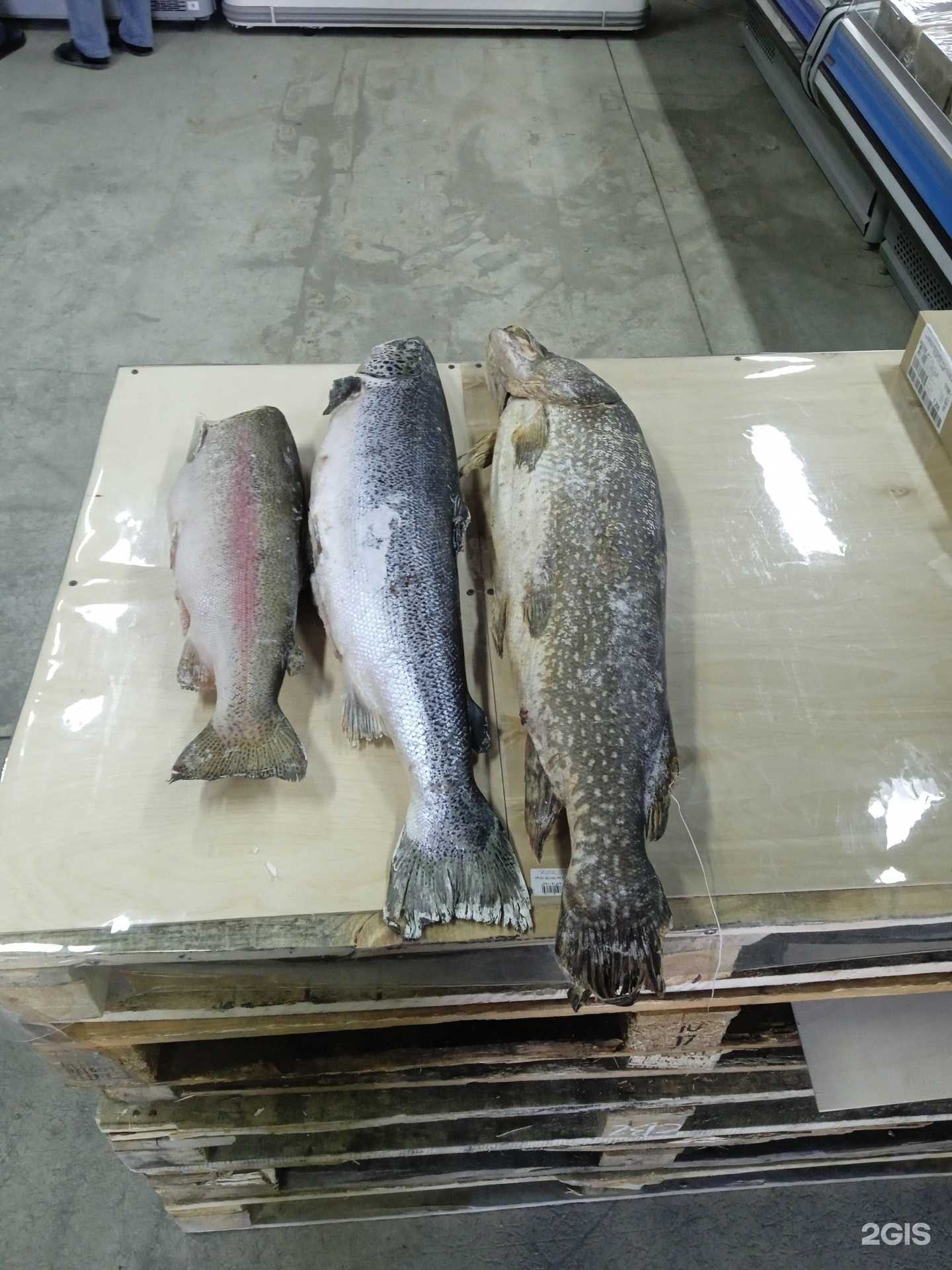 Отзывы на компанию Остров в г. Тюмень c фото