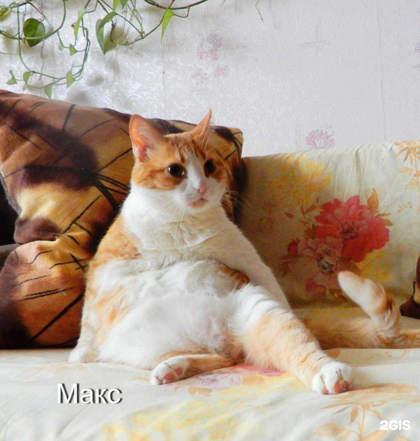 Отзывы на компанию Мур-отель в г. Саратов c фото