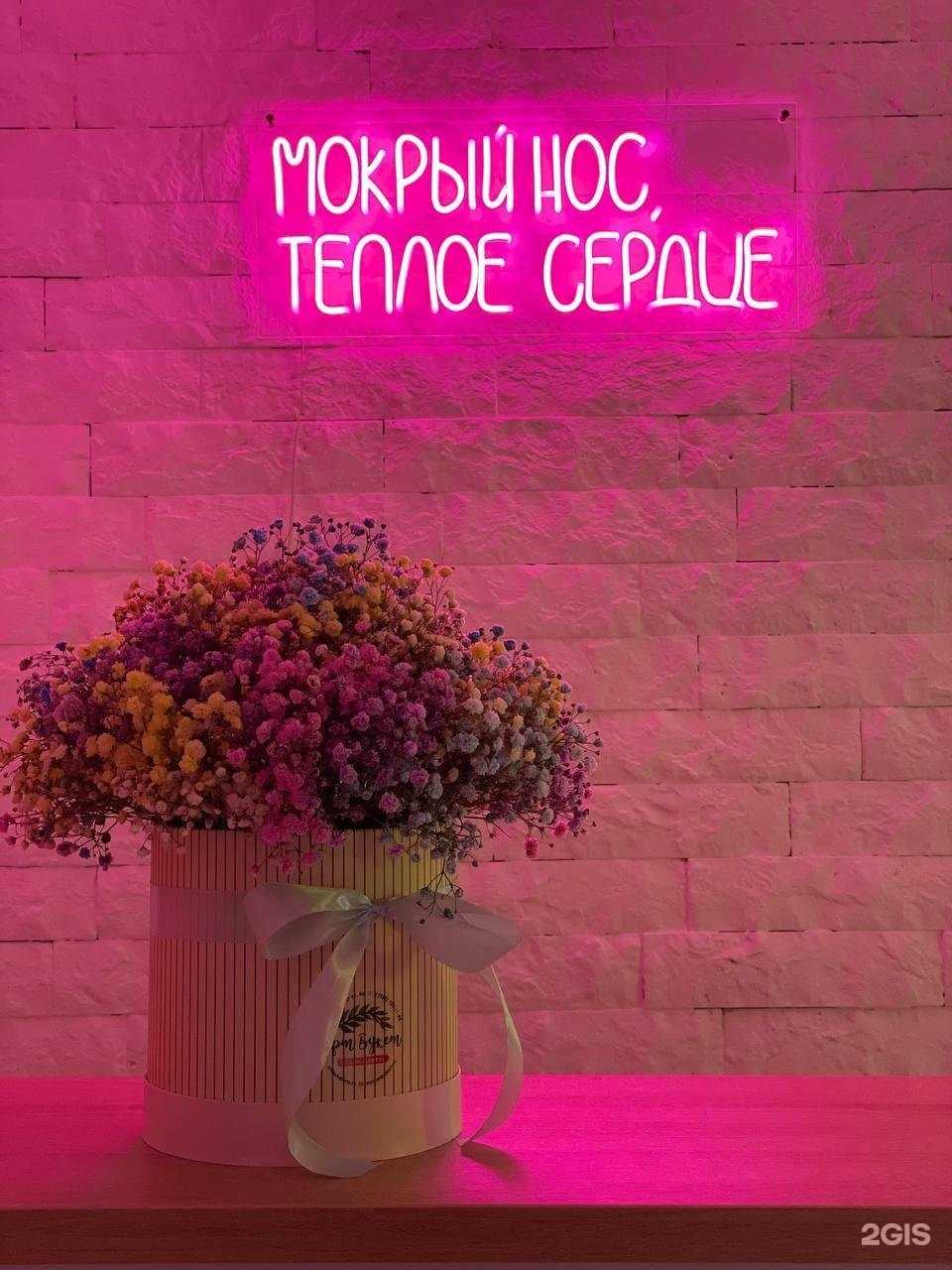 Отзывы на компанию Easygroom в Воронеже c фото