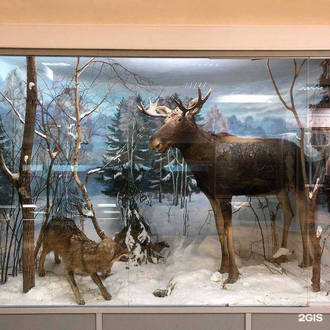 Отзывы на компанию Городской парк культуры и отдыха в г. Орёл c фото