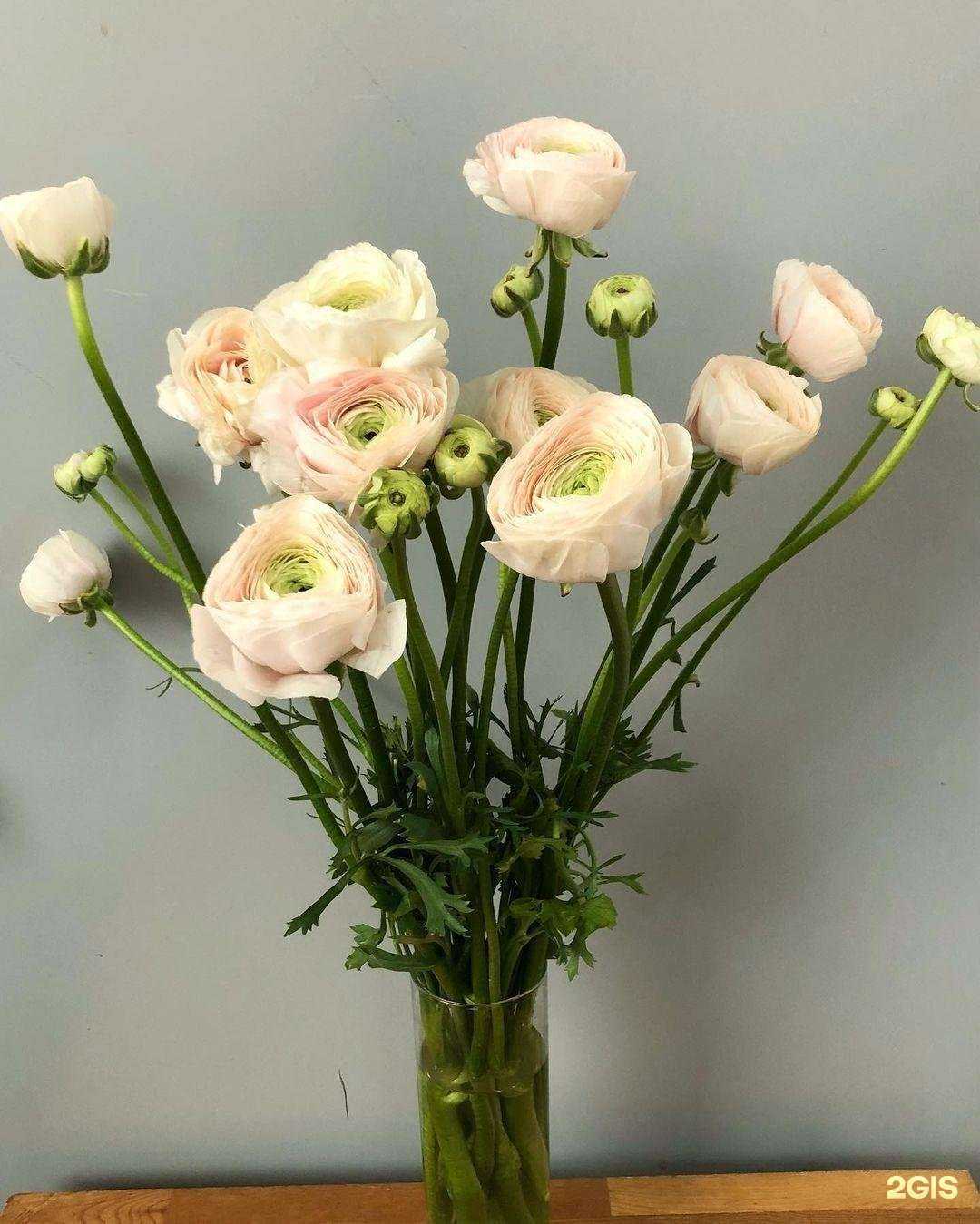 Отзывы на компанию FloraBella в Ставрополе c фото