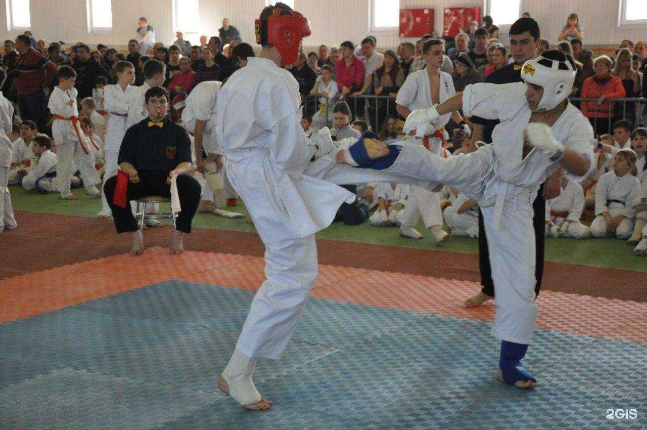 Отзывы на компанию Белый тигр  в Липецке c фото