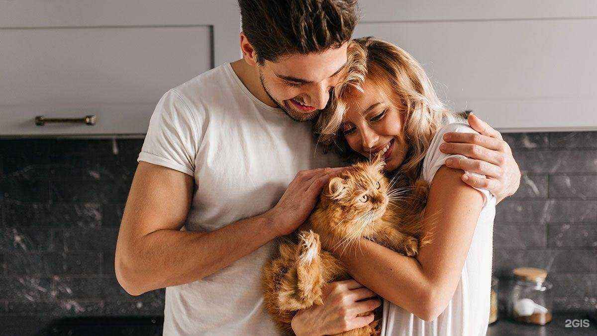 Отзывы на компанию Сова в Истре c фото