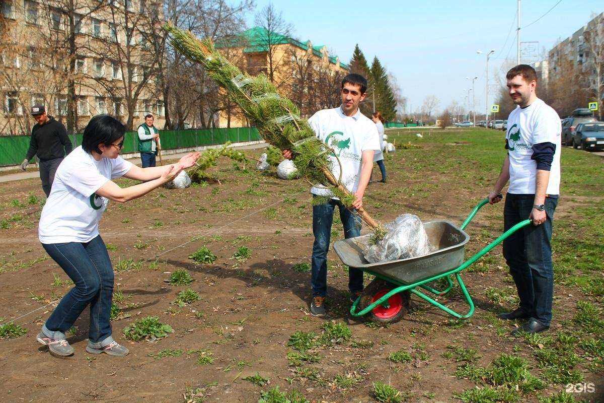 Отзывы на компанию Зеленая логистика в г. Новосибирск c фото