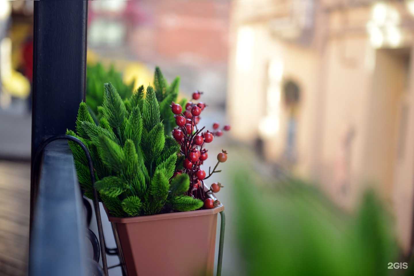 Отзывы на компанию Старый дворик ГУМа в г. Владивосток c фото