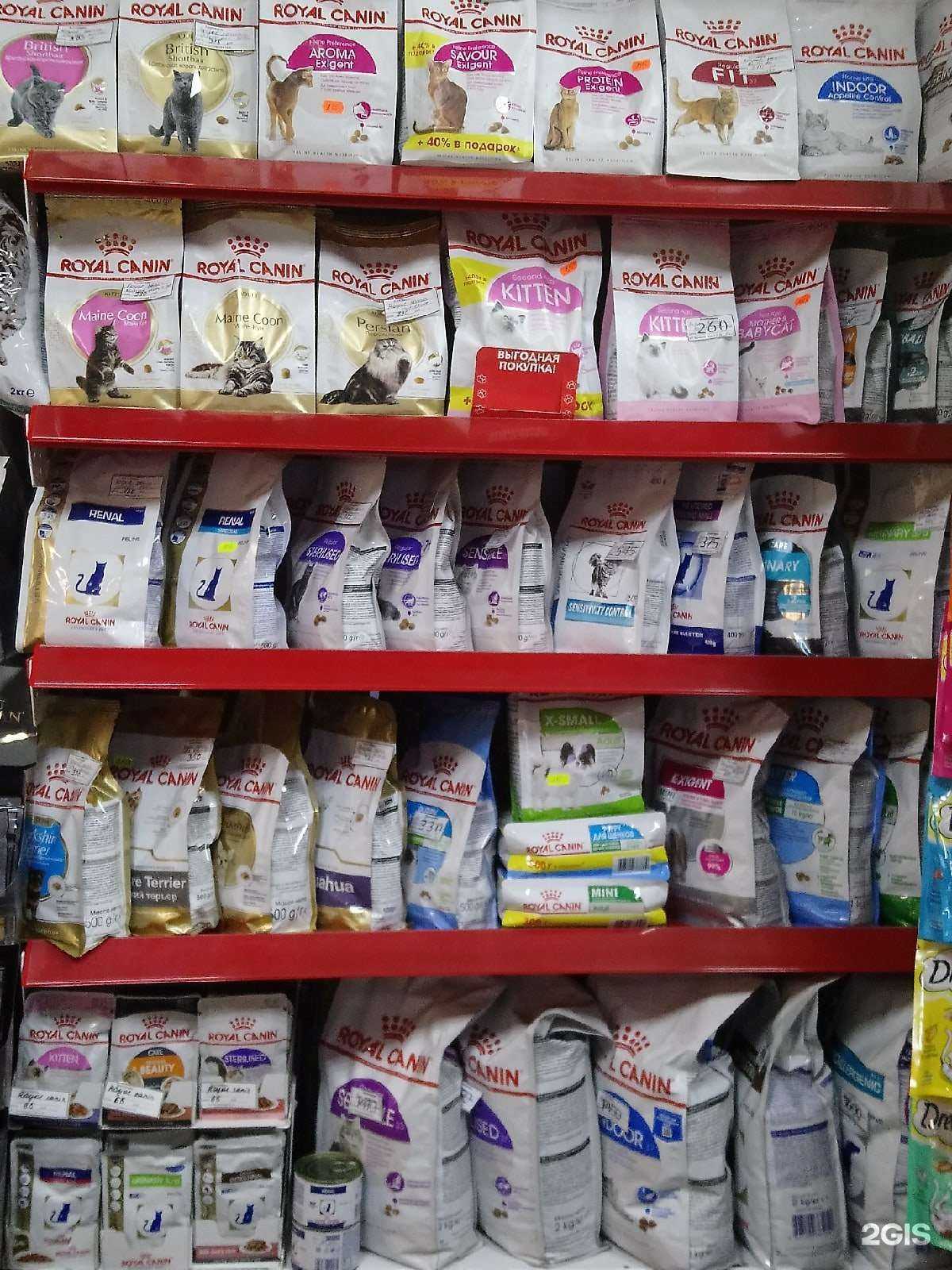 Отзывы на компанию Кошки-мышки в Липецке c фото