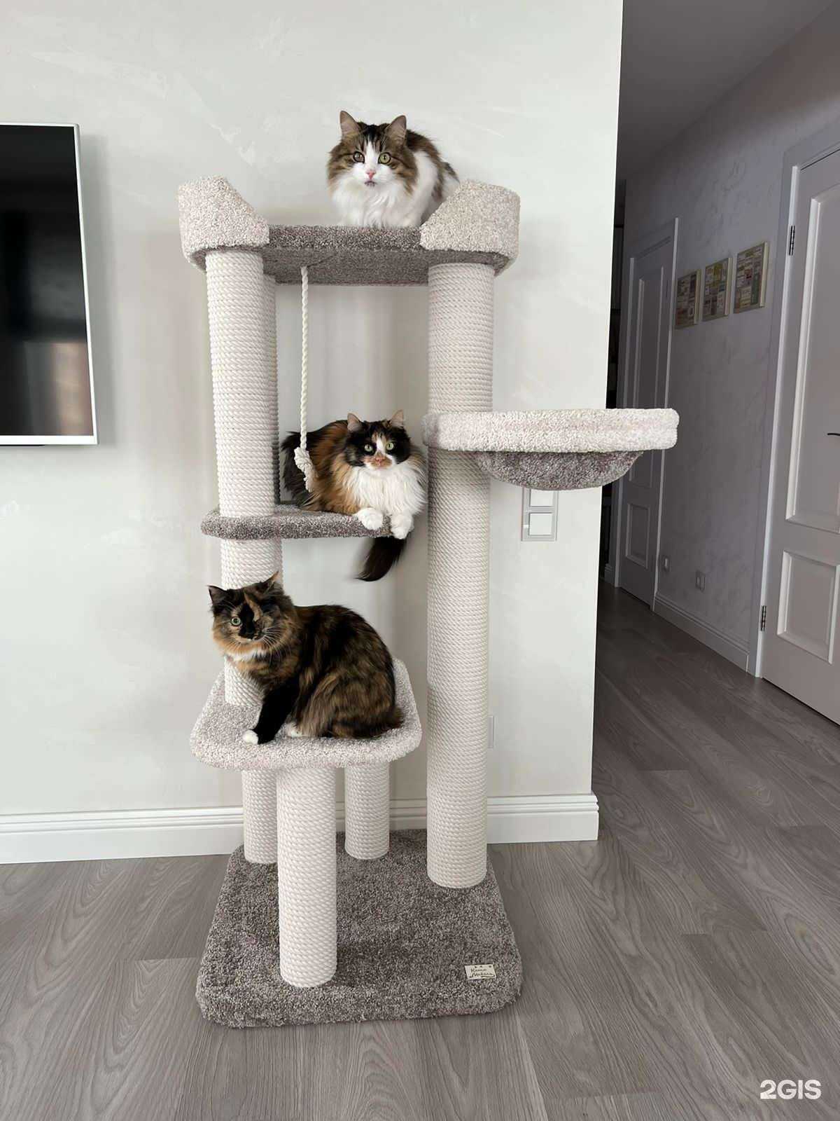 Отзывы на компанию Котомебель в Хабаровске c фото